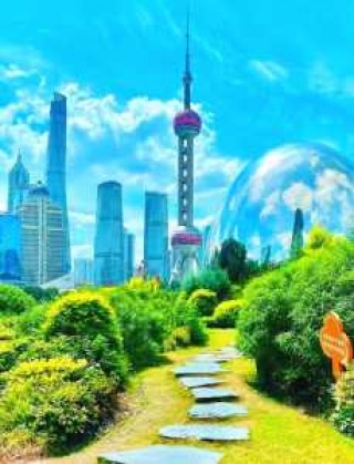 上海经典一日游，2021上海一日游？