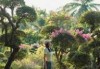 西双版纳热带花卉园，西双版纳热带花卉园门票