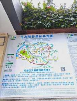 碧峰峡旅游攻略一日游，碧峰峡旅游攻略一日游2020 年？