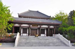 徐州一日游哪里好玩，徐州一日游哪里好玩的景点推荐？