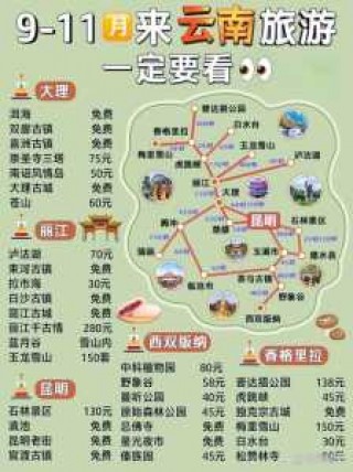 云南自由行还是跟团好，去云南跟团游和自由行哪个便宜？