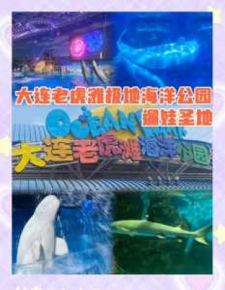 海洋世界门票多少钱一张，海洋世界门票多少钱一张贵阳