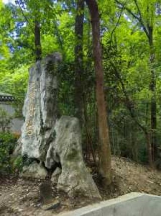 中山一日游必去的地方？中山一日游必去的地方免费？