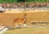 东莞龙凤山庄门票多少钱？龙凤山庄免费门票2025？