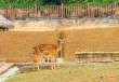 东莞龙凤山庄门票多少钱？龙凤山庄免费门票2025？
