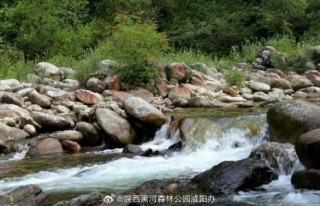 附近一日游最佳景点？旅游景点推荐三日游？