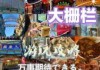 北京前门大街游玩攻略？北京前门大街游玩攻略视频？