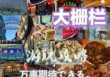 北京前门大街游玩攻略？北京前门大街游玩攻略视频？