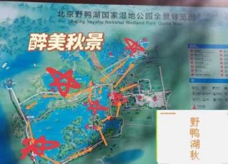 野鸭湖湿地公园攻略？野鸭湖湿地公园营业时间？