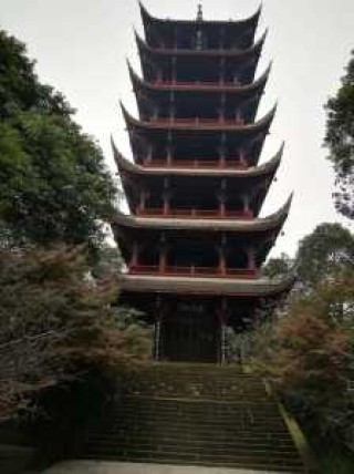 成都双流耍学生便宜，双流那有耍的