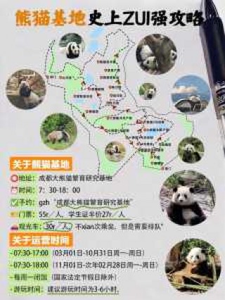 成都熊猫基地攻略，成都熊猫基地攻略图？