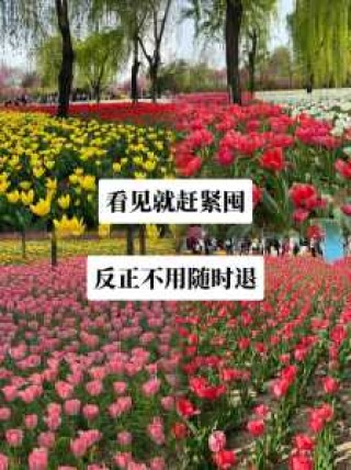 绿博园门票费用，绿博园门票费用2024年