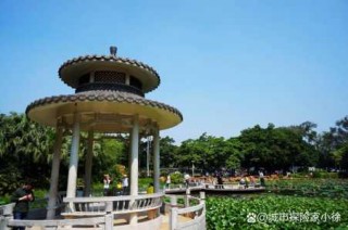 东莞有什么好玩的地方？东莞有什么好玩的地方适合小朋友？
