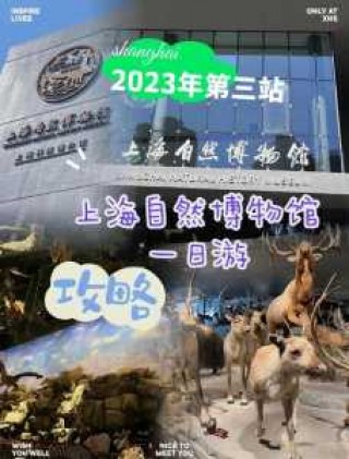 上海博物馆攻略最新，上海博物馆游玩攻略最新？
