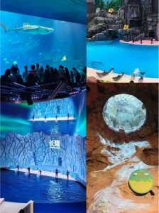 珠海长隆门票团购？珠海长隆门票价？