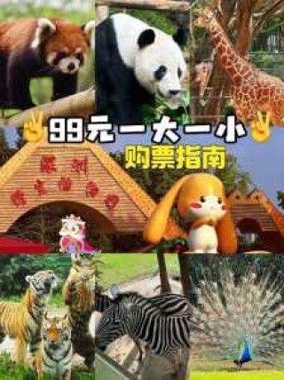 深圳西丽野生动物园门票？深圳西丽野生动物园门票贵吗?？