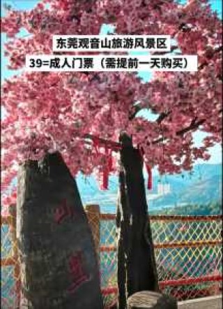 东莞樟木头观音山门票，广东东莞樟木头观音山风景区联系方式？