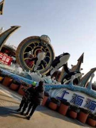 上海三个海洋馆去哪个，上海三个海洋馆去哪个门进？