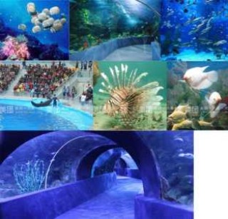 杭州海底世界游玩攻略，杭州海底世界旅游攻略？
