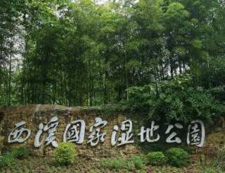 杭州西溪国家湿地公园，杭州西溪国家湿地公园好玩吗