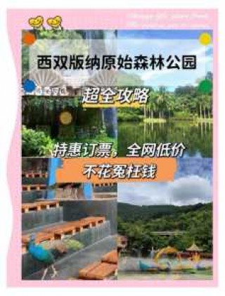 西双版纳原始森林公园门票，西双版纳原始森林公园门票60岁有优惠吗？