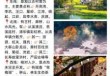 江西旅游婺源介绍？江西婺源旅游攻略必玩的景点？