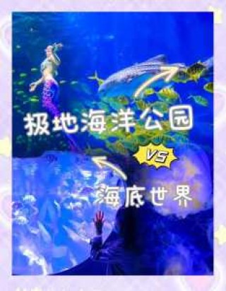 海洋世界门票多少钱一张，海洋世界门票多少钱一张贵阳