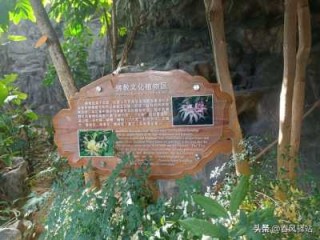 西安世博园一日游攻略？西安世博园好玩吗？