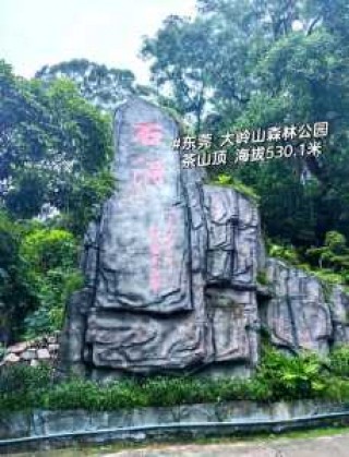 大岭山森林公园景点，大岭山森林公园景点介绍？