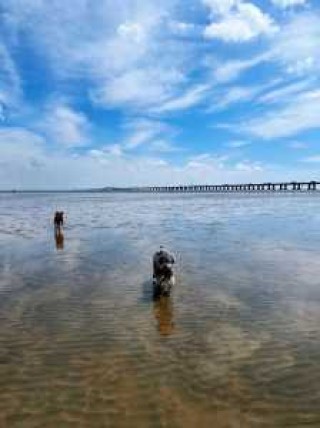 上海海滩哪里好玩免费的，上海 免费海滩