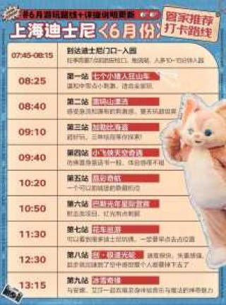 上海迪士尼项目攻略，上海迪士尼全攻略