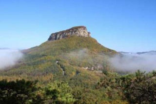 秦皇岛乐岛门票多少钱2021，秦皇岛乐岛景区？