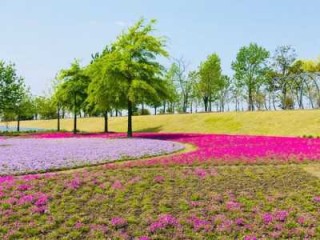 上海辰山植物园几月份去比较好，上海辰山植物园什么时候去