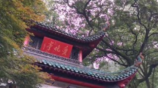 湖南旅游前十必去景区排名，湖南旅游前十必去景区排名图片？