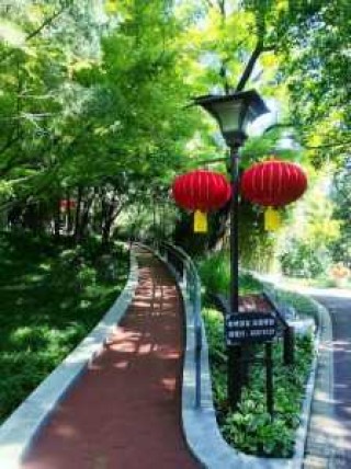 北京适合拍照的景点推荐？北京有什么拍照好看的地方？