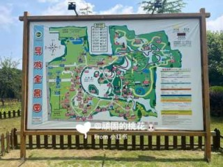 上海野生动物园游玩攻略，上海动物园和野生动物园哪个好玩？