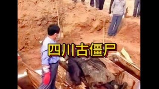 青城山后山灵异事件，青城山后山死人？