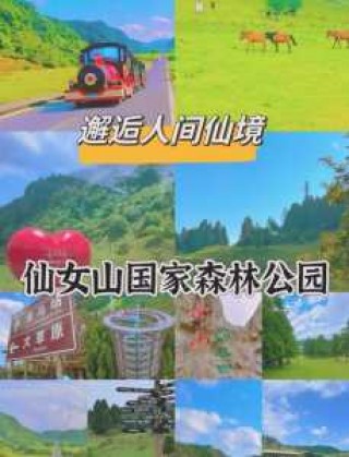 仙女山门票多少钱一张，仙女山门票多少钱一张本地