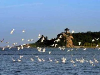 秦皇岛有什么好玩的，秦皇岛有什么好玩的免费景点