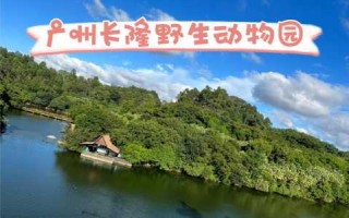 广州长隆野生动物园图片？广州长隆野生动物园图片大门口2024年？