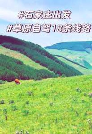 石家庄滹沱河一日游攻略，石家庄滹沱河哪好玩