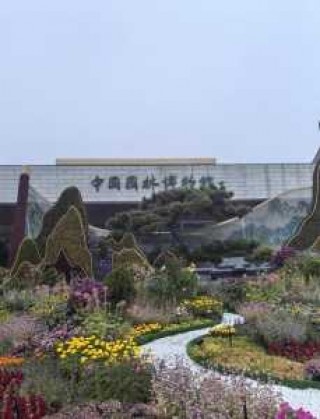 北京博物馆推荐？北京博物馆推荐理由？