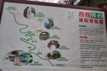 庐山怎么玩比较好？庐山怎么玩比较好玩一点？