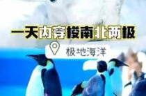 青岛海昌极地海洋公园攻略，青岛海昌极地海洋公园游记？