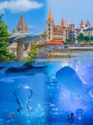 烟台免费55各旅游景点？2021烟台免费旅游？