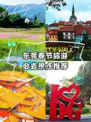 东莞康辉旅行社官方网站，东莞康辉旅行社官方网站电话