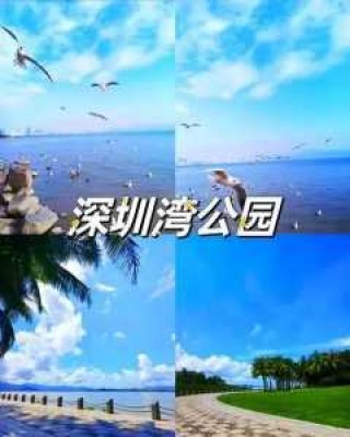 深圳前十旅游景点排名，深圳旅旅游景点热门排名榜前三名