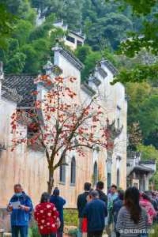 江西旅行社排名最新，江西最大的旅行公司？