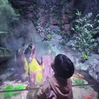 上海长风海洋世界怎么样，上海长风海洋世界怎么样好玩吗？