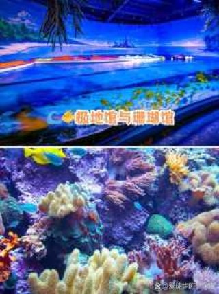 大连海洋馆门票多少钱？大连海洋馆门票多少钱一张？